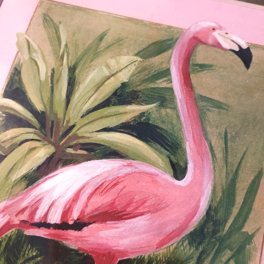 2 Flamingo Watercolor Prints by Deja: Signed & Numbered : Framed & Double Matted